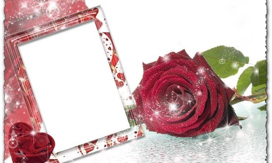 High resolution photo frame with roses