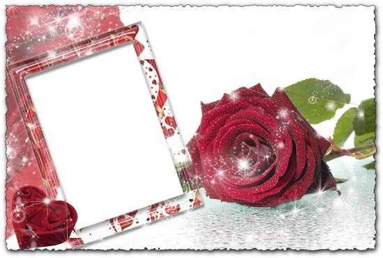 High resolution photo frame with roses