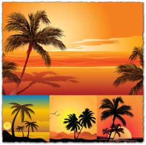 Vector beach with palm trees template