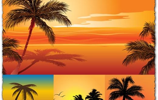 Vector beach with palm trees template