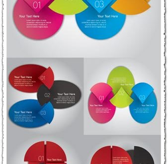 Infographics pie chart label vector