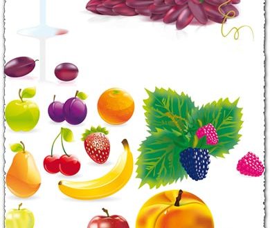 Juicy fruit vectors