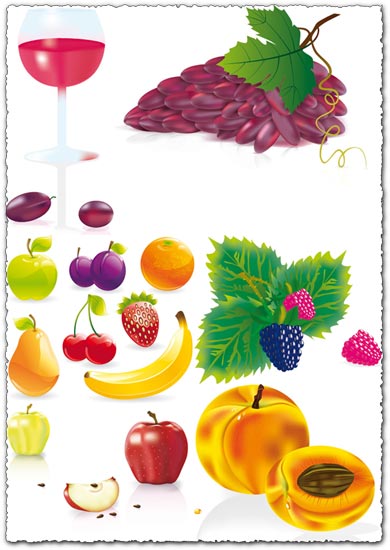 Juicy fruit vectors