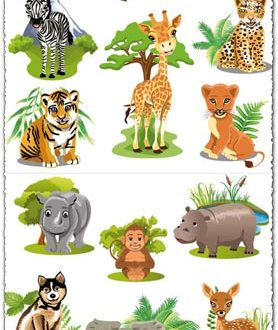 Jungle animals cartoon vectors