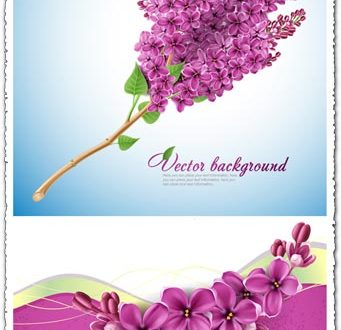 Lilac flower vector card