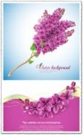 Lilac flower vector card