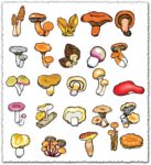 Mushroom vector drawing