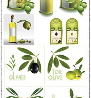 Olive oil vector labels