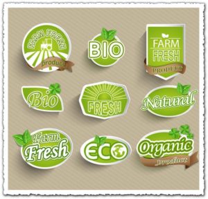 Organic food eco-labeling vector