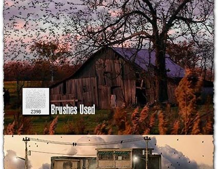 Photoshop birds brushes collection