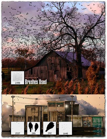 Photoshop birds brushes collection Photoshop birds brushes collection