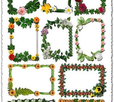 Png flower frames for photoshop