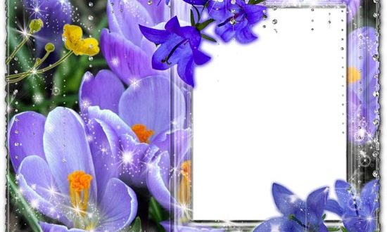 Photoshop photo frame flower and bells