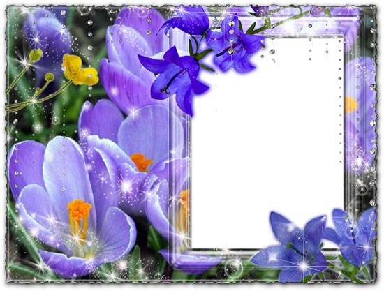 Photoshop photo frame flower and bells
