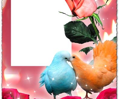 Photoshop roses photo frame