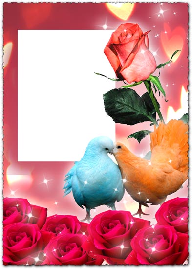 Photoshop roses photo frame