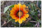 Photoshop ultra sharpen action