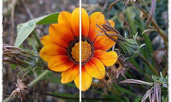 Photoshop ultra sharpen action