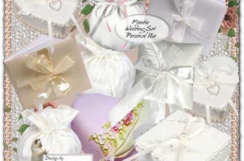 Transparent wedding objects for Photoshop