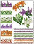 Psd floral border frames