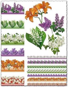 Psd floral border frames