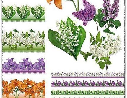 Psd floral border frames