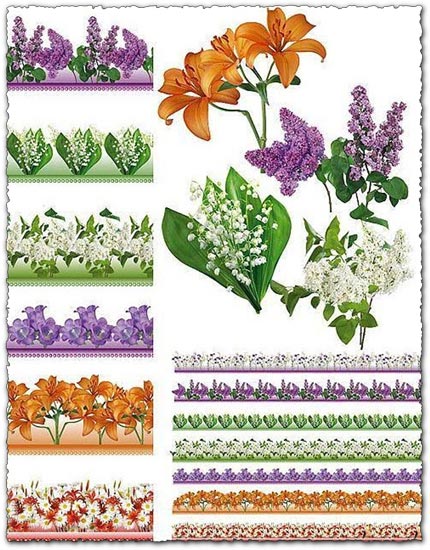 Psd floral border frames Psd floral border frames