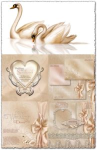 Wedding ornaments frames and backgrounds