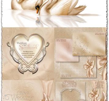 Wedding ornaments frames and backgrounds