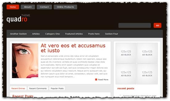 Quadro Elegantthemes wordpress template