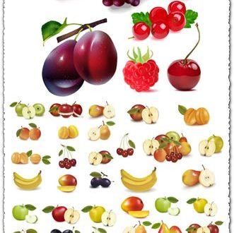 Realistic fruits vectors