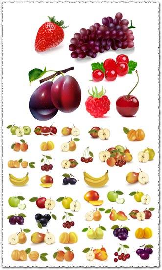 Realistic fruits vectors