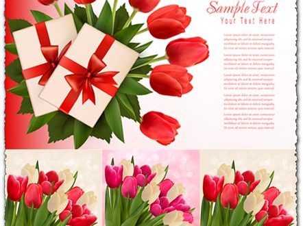 Red and white tulips on vector cards