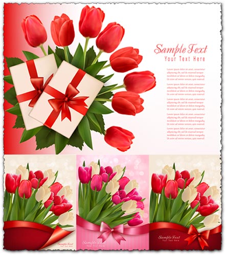 Red and white tulips on vector cards