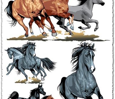Running horses vector illustrations