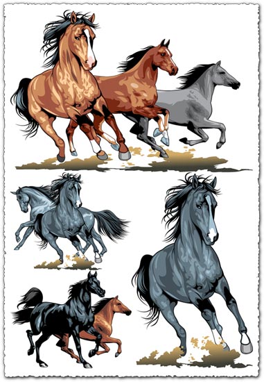 Running horses vector illustrations