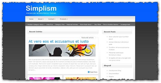 Simplism Elegantthemes wordpress template