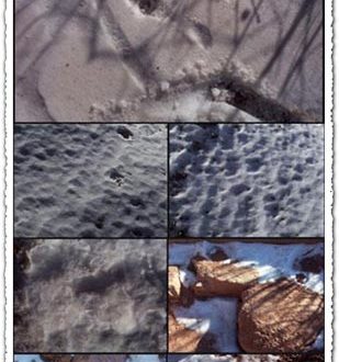 Snow textures collection