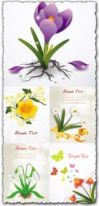 Spring floral cards vectors