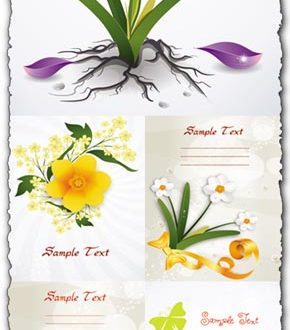 Spring floral cards vectors