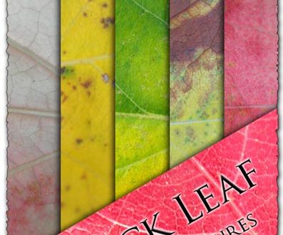 Leaf textures design