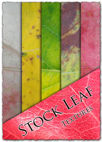 Leaf textures design