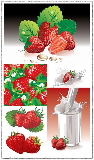 Strawberries and milk vector posters