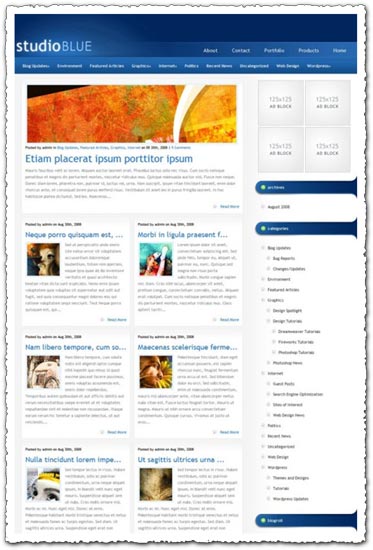 StudioBlue elegantthemes WordPress theme