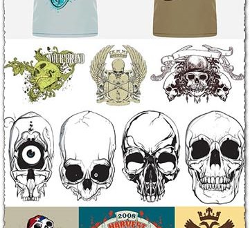 T-shirts with skulls vector models