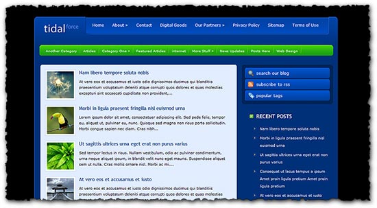 TidalForce Elegantthemes wordpress template
