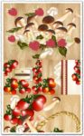 Tomatoes and mushrooms vectors
