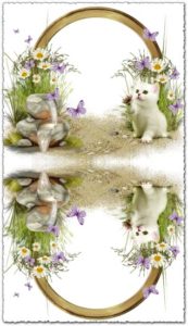 Transparent photo frame with cute kitten