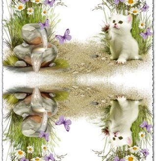 Transparent photo frame with cute kitten