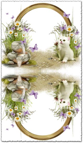 Transparent photo frame with cute kitten
